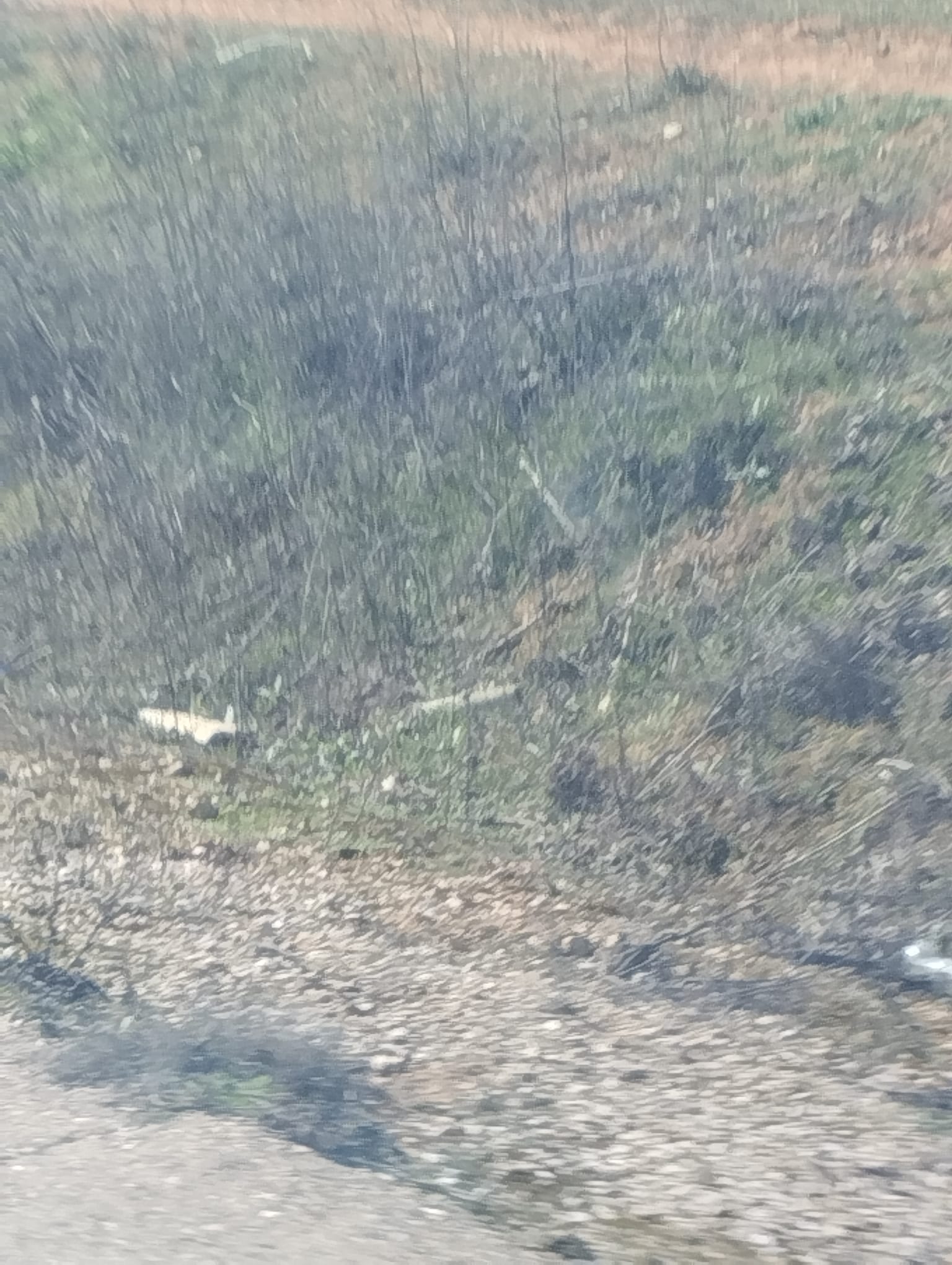 Estado antes de Limpiando Caminos - Camino rural deteriorado 2